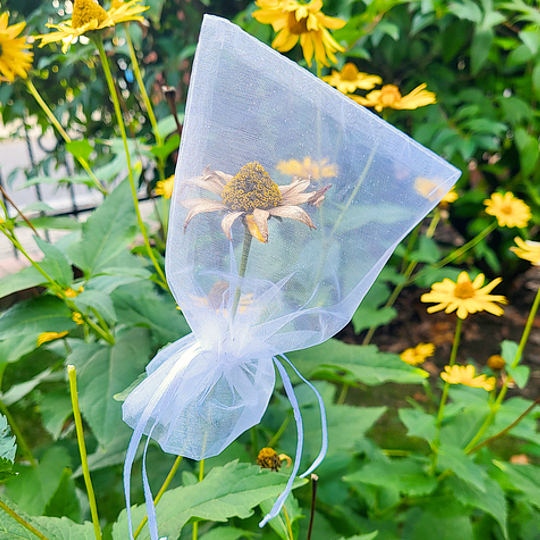 Organza zakje voor bescherming van plantenzaden