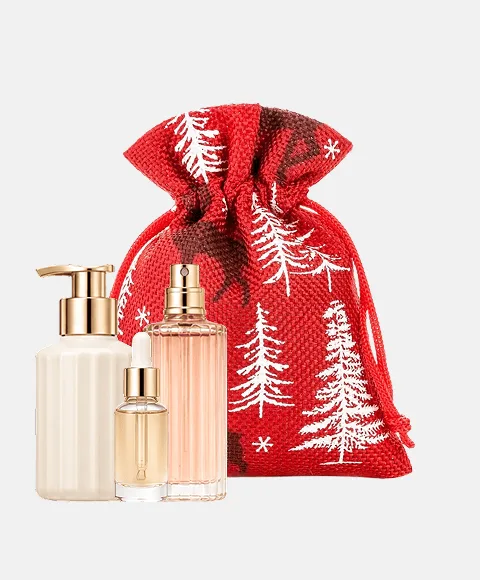 Bedrukte kerstzakjes voor uw bedrijf en relatiegeschenken 69